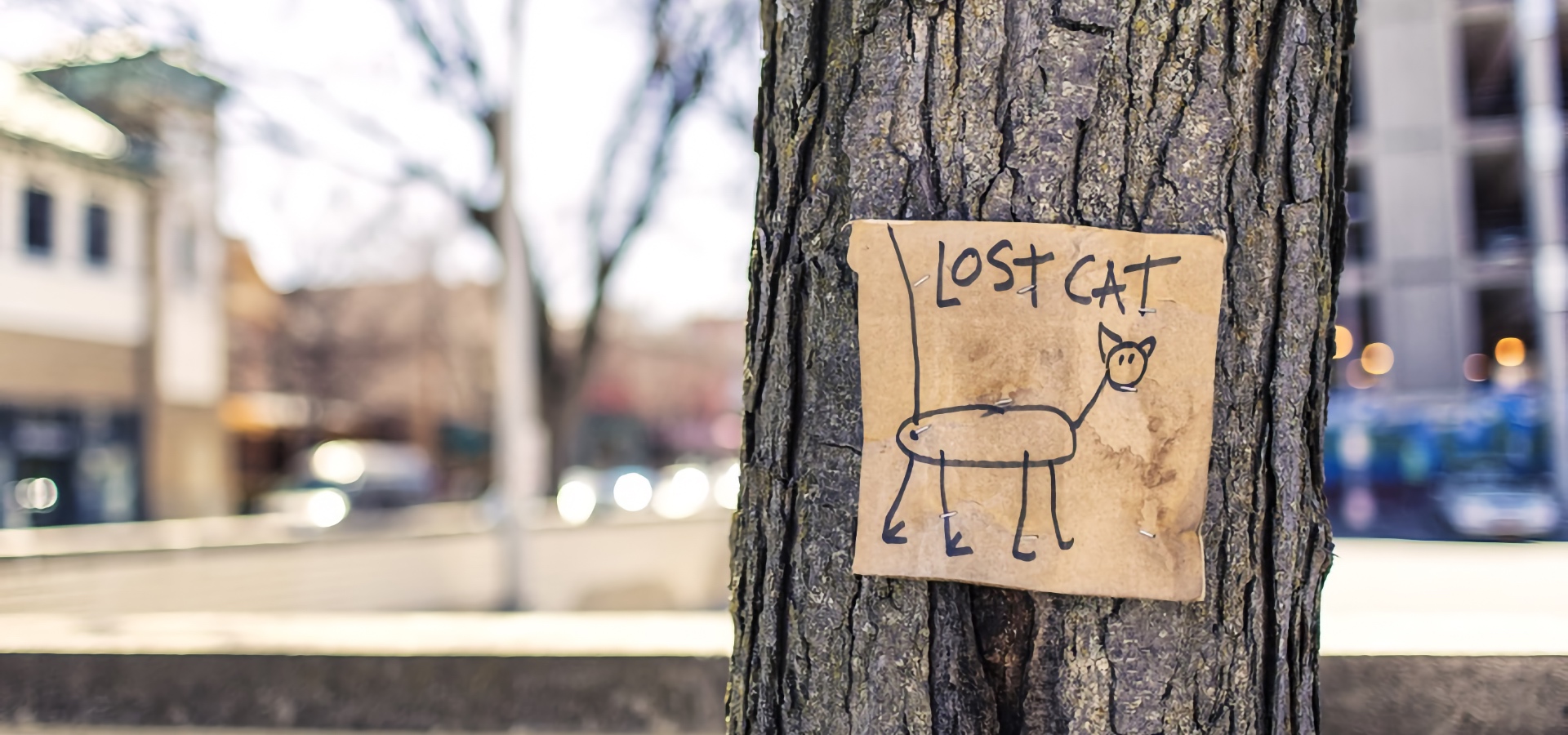 img-las-3-claves-para